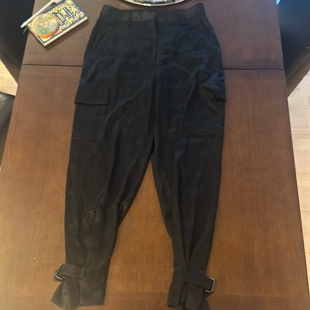 Aritzia Babaton Refined Cargo